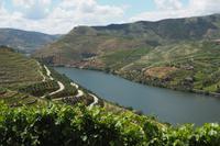 P6070340, Blick von Sandeman aus