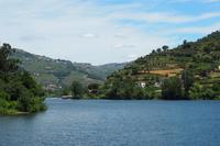 P6080391,  Douro-Tal