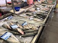 Markthalle von Olhao