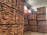 Korkfabrik in Sao Bras de Alportel