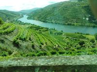 05.06.2019, Douro-Tal in der Nähe von Pinhao
