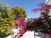 12.06.2019, Hauseingang in Armacao de Pera, Algarve