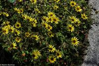 Porto & Lissabon (1)