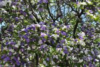 Porto & Lissabon (106)