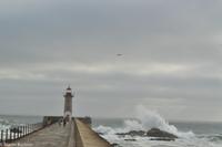 Porto & Lissabon (114)