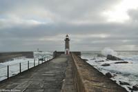 Porto & Lissabon (117)