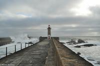 Porto & Lissabon (118)