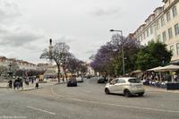 Porto & Lissabon (152)