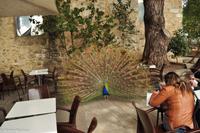 Porto & Lissabon (162)