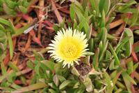 Porto & Lissabon (217)