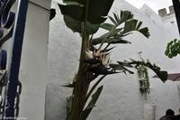 Porto & Lissabon (224)