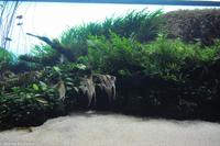 Porto & Lissabon (259)