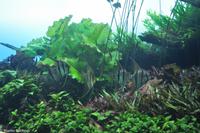 Porto & Lissabon (260)