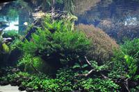 Porto & Lissabon (261)