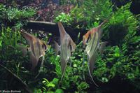 Porto & Lissabon (263)