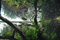 Porto & Lissabon (264)