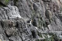 Porto & Lissabon (265)