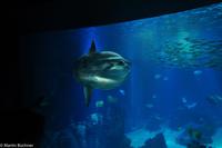 Porto & Lissabon (266)