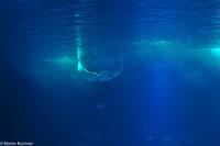 Porto & Lissabon (267)