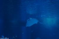 Porto & Lissabon (268)