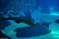 Porto & Lissabon (269)