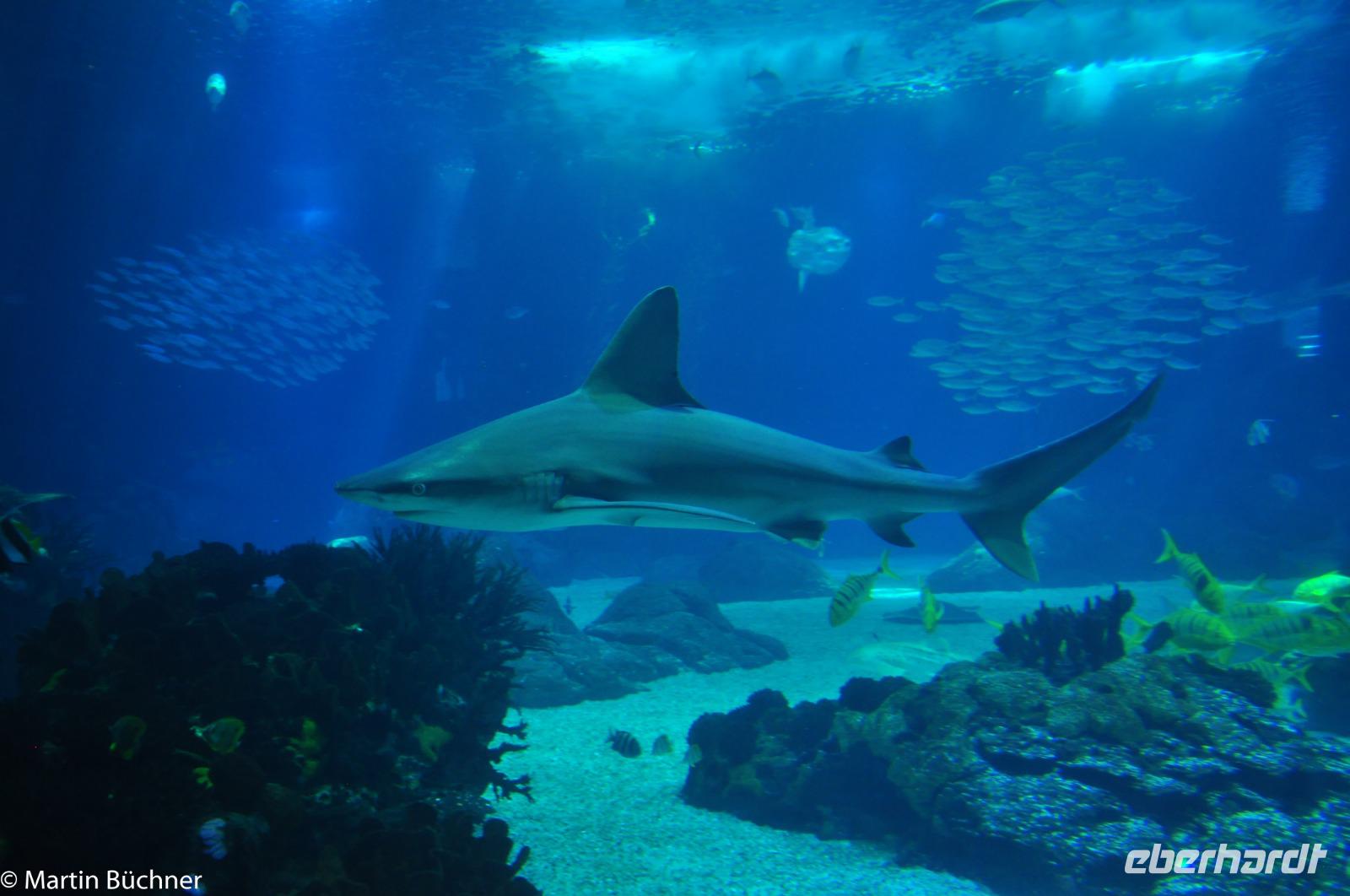 Porto & Lissabon (271)