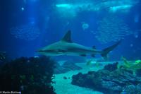 Porto & Lissabon (271)