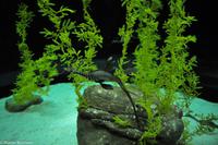 Porto & Lissabon (272)