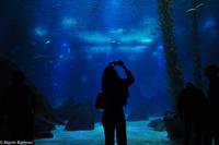 Porto & Lissabon (273)