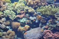 Porto & Lissabon (274)