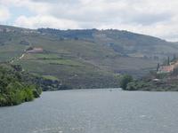 entlang des Douro's