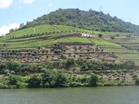entlang des Douro's