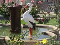 Johanna/Johannes in Figueira de Castelo Rodrigo