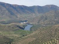 Castelo Rodrigo - Rückfahrt mit Blick auf die 