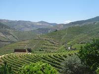 Blick von der Quinta do Seixo