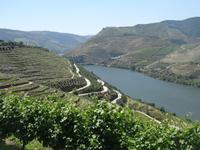 Blick von der Quinta do Seixo