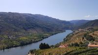 Douro-Tal