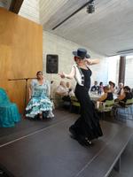 Salamanca - Mittagessen mit Flamenco-Show
