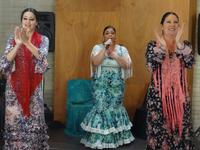 Salamanca - Mittagessen mit Flamenco-Show