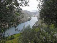 Blick von der Quinta do Seixo