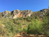 Tag 3 - Tafelberg Rocha da Pena