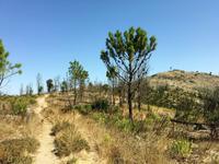 Tag 5 - Blick auf den Picota