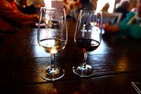 Weinverkostung im Weinkeller Burmester, Porto