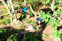 Castelo de Sao Jorge, Lissabon