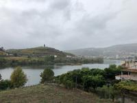 Fluss Douro 