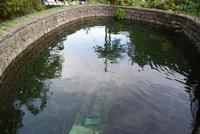 Forellenzucht Ribeiro frio