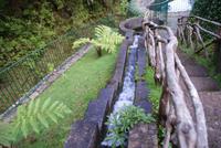 Forellenzucht Ribeiro frio (2)