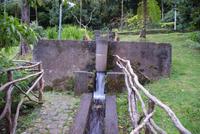 Forellenzucht Ribeiro frio (4)