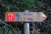 Levada Wanderung Balcoes
