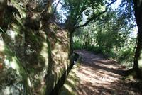 Levada Wanderung Balcoes (3)